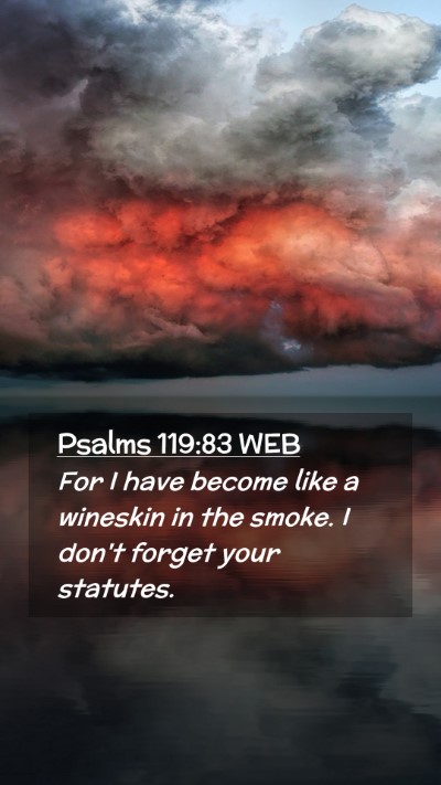 Picture 02 - Psalms 119:83 WEB Mobile Phone Wallpaper - For I have become like a wineskin in the smoke. I - Mobile Bible Verse Wallpaper