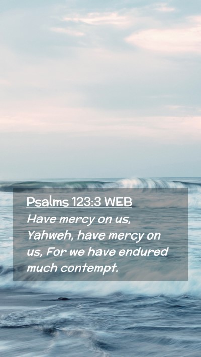 Picture 02 - Psalms 123:3 WEB Mobile Phone Wallpaper - Have mercy on us, Yahweh, have mercy on us, For - Mobile Bible Verse Wallpaper