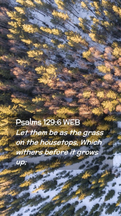 Picture 02 - Psalms 129:6 WEB Mobile Phone Wallpaper - Let them be as the grass on the housetops, Which - Mobile Bible Verse Wallpaper