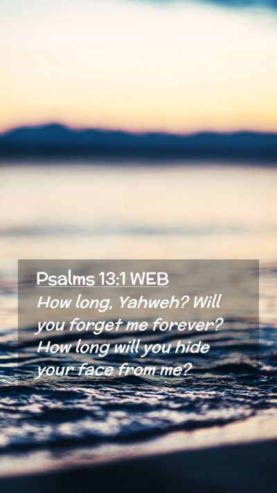 Picture 02 - Psalms 13:1 WEB Mobile Phone Wallpaper - How long, Yahweh? Will you forget me forever? How - Mobile Bible Verse Wallpaper