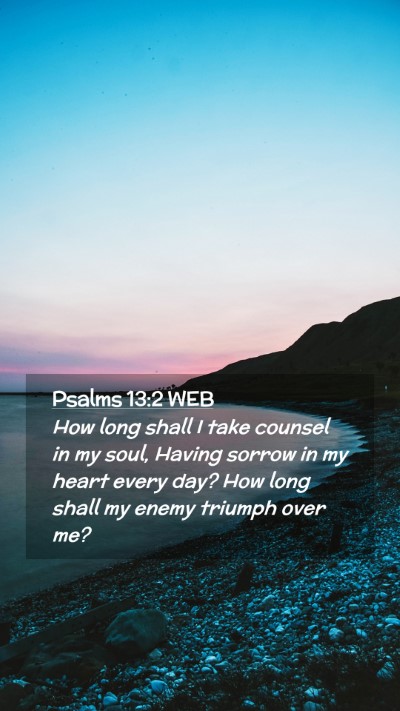 Picture 02 - Psalms 13:2 WEB Mobile Phone Wallpaper - How long shall I take counsel in my soul, Having - Mobile Bible Verse Wallpaper