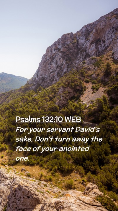 Picture 02 - Psalms 132:10 WEB Mobile Phone Wallpaper - For your servant David's sake, Don't turn away - Mobile Bible Verse Wallpaper