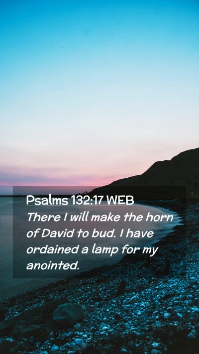 Picture 02 - Psalms 132:17 WEB Mobile Phone Wallpaper - There I will make the horn of David to bud. I - Mobile Bible Verse Wallpaper