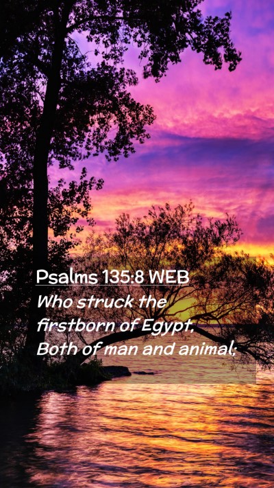 Picture 02 - Psalms 135:8 WEB Mobile Phone Wallpaper - Who struck the firstborn of Egypt, Both of man - Mobile Bible Verse Wallpaper