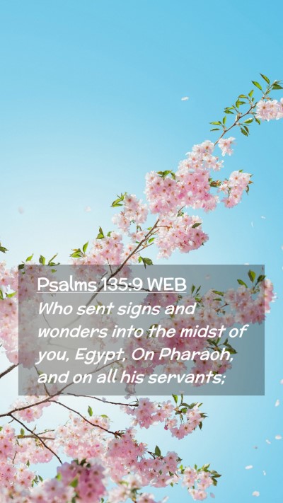 Picture 02 - Psalms 135:9 WEB Mobile Phone Wallpaper - Who sent signs and wonders into the midst of you, - Mobile Bible Verse Wallpaper