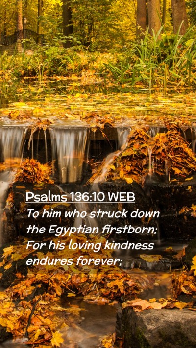 Picture 02 - Psalms 136:10 WEB Mobile Phone Wallpaper - To him who struck down the Egyptian firstborn; - Mobile Bible Verse Wallpaper
