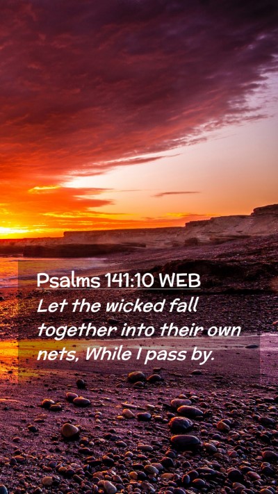 Picture 02 - Psalms 141:10 WEB Mobile Phone Wallpaper - Let the wicked fall together into their own nets, - Mobile Bible Verse Wallpaper