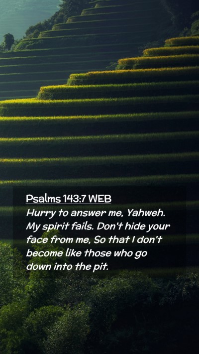 Picture 02 - Psalms 143:7 WEB Mobile Phone Wallpaper - Hurry to answer me, Yahweh. My spirit fails. - Mobile Bible Verse Wallpaper