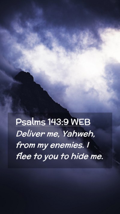 Picture 02 - Psalms 143:9 WEB Mobile Phone Wallpaper - Deliver me, Yahweh, from my enemies. I flee to - Mobile Bible Verse Wallpaper