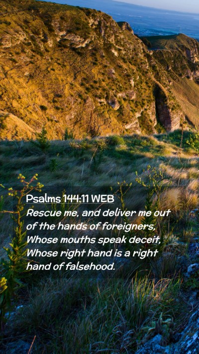 Picture 02 - Psalms 144:11 WEB Mobile Phone Wallpaper - Rescue me, and deliver me out of the hands of - Mobile Bible Verse Wallpaper