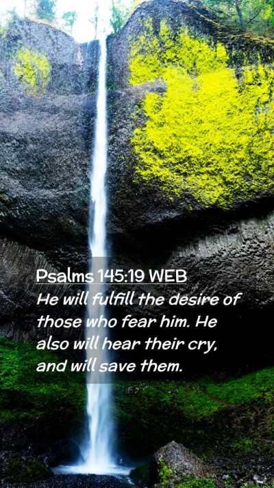 Picture 02 - Psalms 145:19 WEB Mobile Phone Wallpaper - He will fulfill the desire of those who fear him. - Mobile Bible Verse Wallpaper