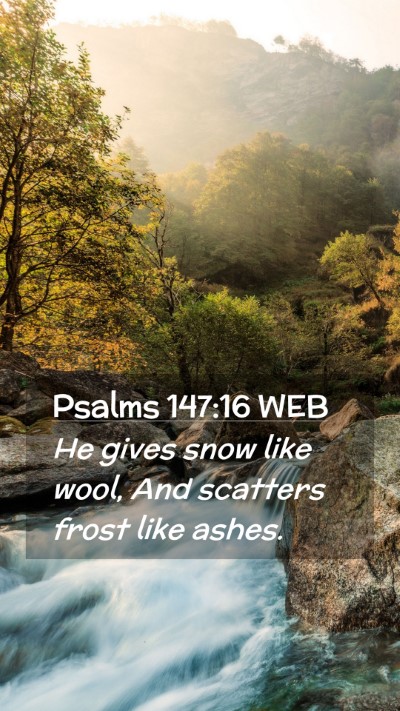 Picture 02 - Psalms 147:16 WEB Mobile Phone Wallpaper - He gives snow like wool, And scatters frost like - Mobile Bible Verse Wallpaper