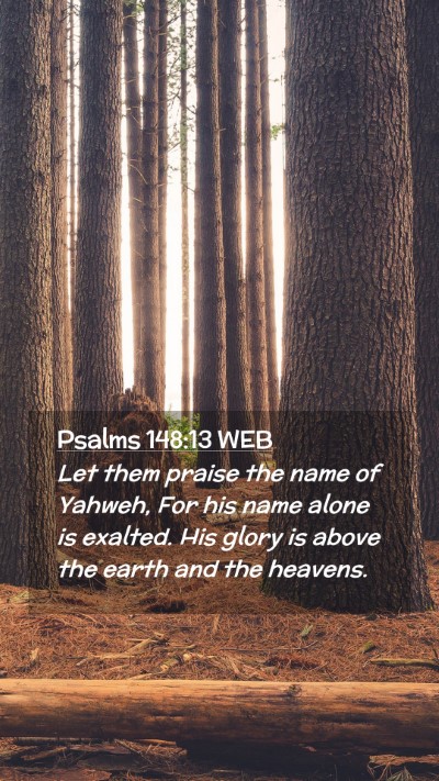 Picture 02 - Psalms 148:13 WEB Mobile Phone Wallpaper - Let them praise the name of Yahweh, For his name - Mobile Bible Verse Wallpaper