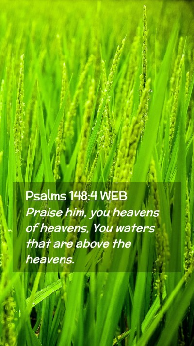 Picture 02 - Psalms 148:4 WEB Mobile Phone Wallpaper - Praise him, you heavens of heavens, You waters - Mobile Bible Verse Wallpaper
