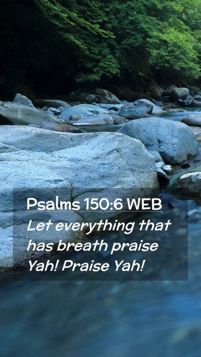 Picture 02 - Psalms 150:6 WEB Mobile Phone Wallpaper - Let everything that has breath praise Yah! Praise - Mobile Bible Verse Wallpaper