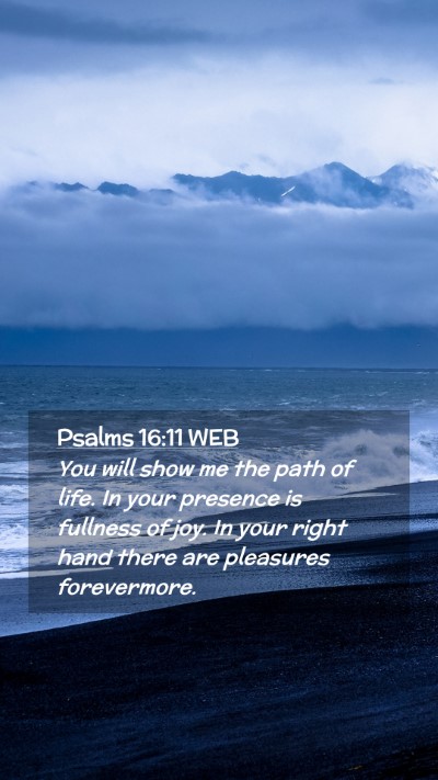 Picture 02 - Psalms 16:11 WEB Mobile Phone Wallpaper - You will show me the path of life. In your - Mobile Bible Verse Wallpaper