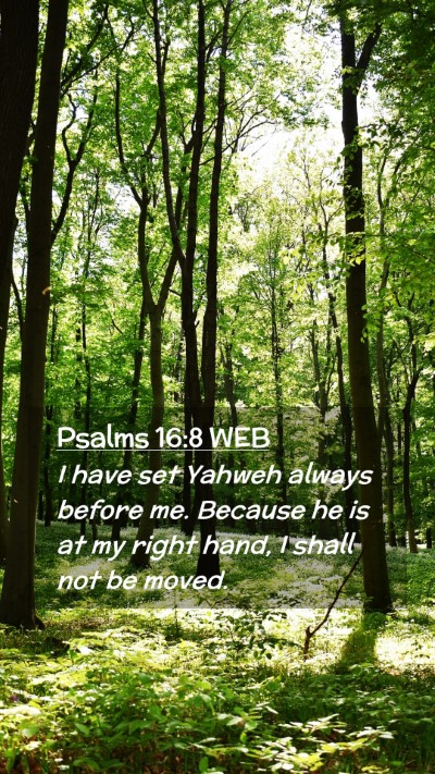 Picture 02 - Psalms 16:8 WEB Mobile Phone Wallpaper - I have set Yahweh always before me. Because he is - Mobile Bible Verse Wallpaper