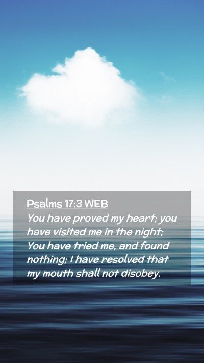 Picture 02 - Psalms 17:3 WEB Mobile Phone Wallpaper - You have proved my heart; you have visited me in - Mobile Bible Verse Wallpaper