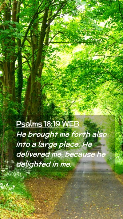 Picture 02 - Psalms 18:19 WEB Mobile Phone Wallpaper - He brought me forth also into a large place. He - Mobile Bible Verse Wallpaper