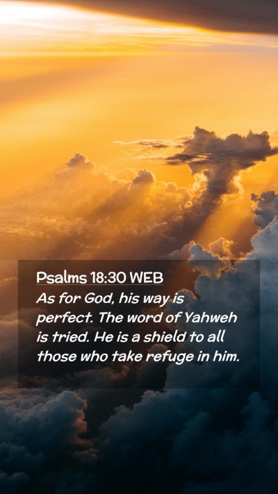 Picture 02 - Psalms 18:30 WEB Mobile Phone Wallpaper - As for God, his way is perfect. The word of - Mobile Bible Verse Wallpaper