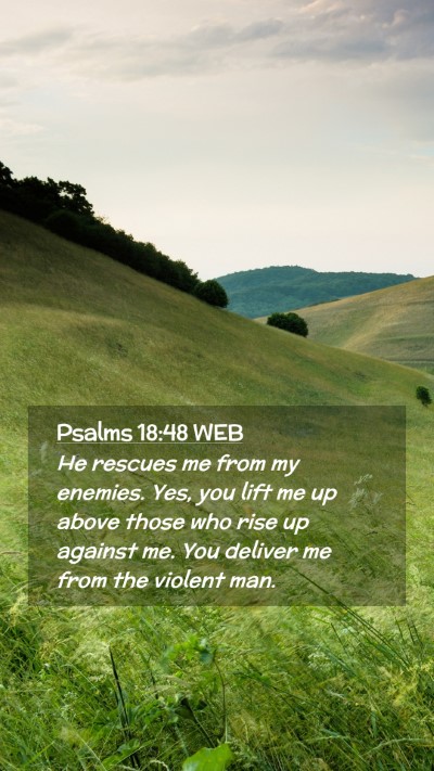 Picture 02 - Psalms 18:48 WEB Mobile Phone Wallpaper - He rescues me from my enemies. Yes, you lift me - Mobile Bible Verse Wallpaper