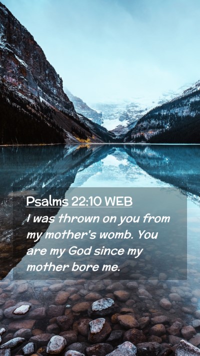Picture 02 - Psalms 22:10 WEB Mobile Phone Wallpaper - I was thrown on you from my mother's womb. You - Mobile Bible Verse Wallpaper