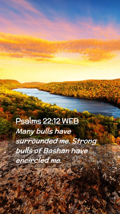 Picture 02 - Psalms 22:12 WEB Mobile Phone Wallpaper - Many bulls have surrounded me. Strong bulls of - Mobile Bible Verse Wallpaper