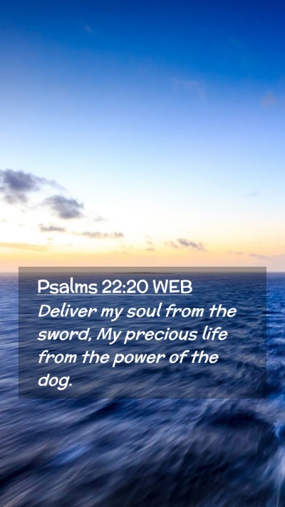 Picture 02 - Psalms 22:20 WEB Mobile Phone Wallpaper - Deliver my soul from the sword, My precious life - Mobile Bible Verse Wallpaper