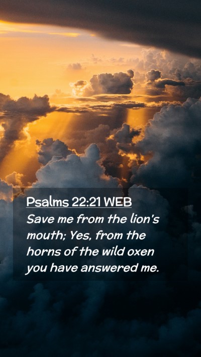 Picture 02 - Psalms 22:21 WEB Mobile Phone Wallpaper - Save me from the lion's mouth; Yes, from the - Mobile Bible Verse Wallpaper