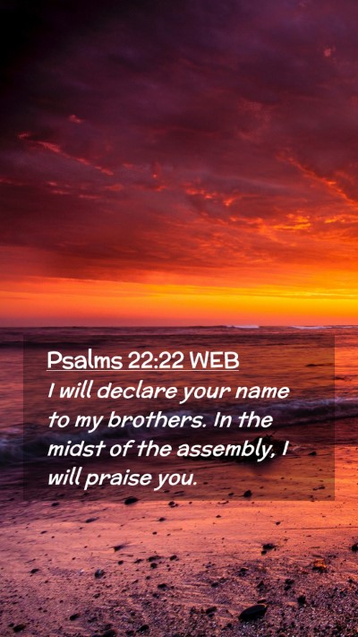 Picture 02 - Psalms 22:22 WEB Mobile Phone Wallpaper - I will declare your name to my brothers. In the - Mobile Bible Verse Wallpaper