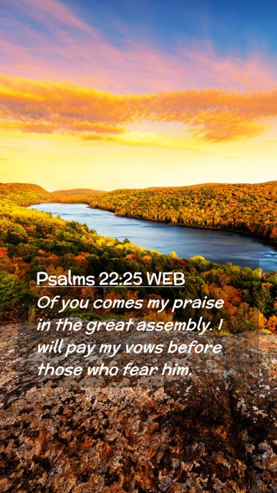Picture 02 - Psalms 22:25 WEB Mobile Phone Wallpaper - Of you comes my praise in the great assembly. I - Mobile Bible Verse Wallpaper