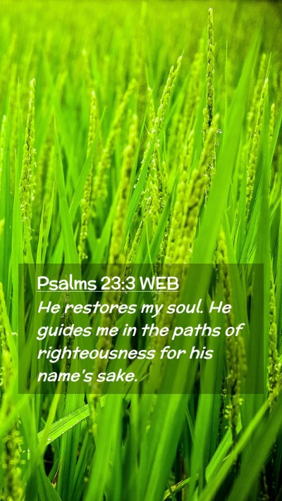 Picture 02 - Psalms 23:3 WEB Mobile Phone Wallpaper - He restores my soul. He guides me in the paths of - Mobile Bible Verse Wallpaper