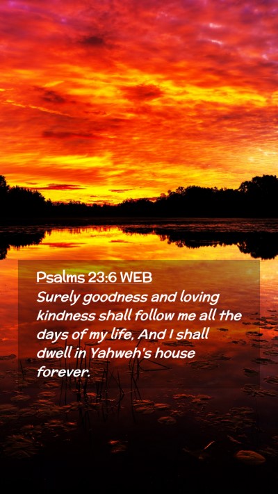 Picture 02 - Psalms 23:6 WEB Mobile Phone Wallpaper - Surely goodness and loving kindness shall follow - Mobile Bible Verse Wallpaper