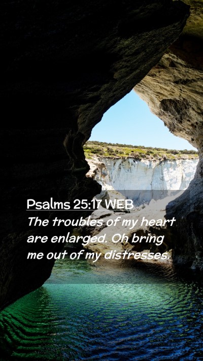 Picture 02 - Psalms 25:17 WEB Mobile Phone Wallpaper - The troubles of my heart are enlarged. Oh bring - Mobile Bible Verse Wallpaper
