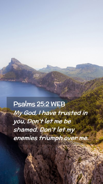 Picture 02 - Psalms 25:2 WEB Mobile Phone Wallpaper - My God, I have trusted in you, Don't let me be - Mobile Bible Verse Wallpaper