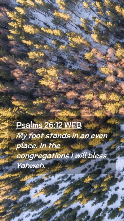 Picture 02 - Psalms 26:12 WEB Mobile Phone Wallpaper - My foot stands in an even place. In the - Mobile Bible Verse Wallpaper