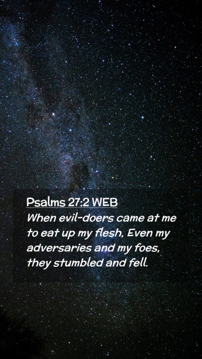 Picture 02 - Psalms 27:2 WEB Mobile Phone Wallpaper - When evil-doers came at me to eat up my flesh, - Mobile Bible Verse Wallpaper