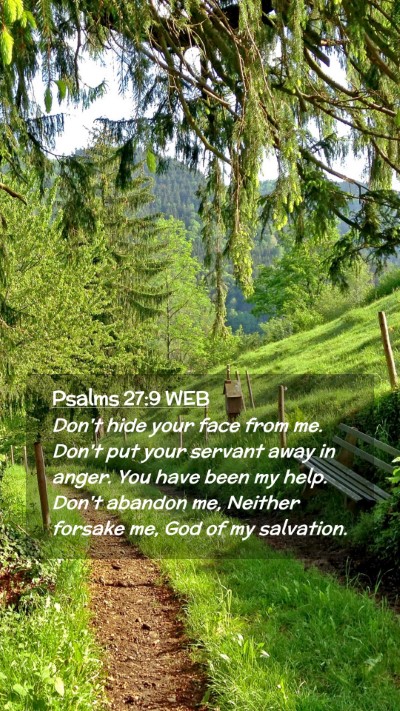 Picture 02 - Psalms 27:9 WEB Mobile Phone Wallpaper - Don't hide your face from me. Don't put your - Mobile Bible Verse Wallpaper