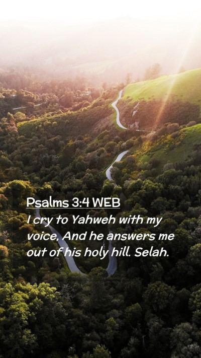 Picture 02 - Psalms 3:4 WEB Mobile Phone Wallpaper - I cry to Yahweh with my voice, And he answers me - Mobile Bible Verse Wallpaper