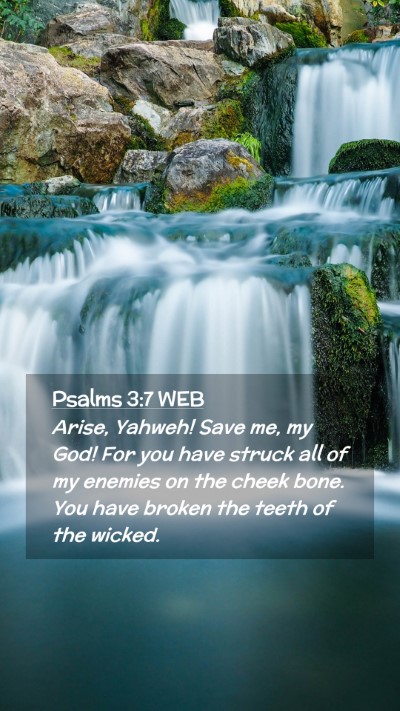 Picture 02 - Psalms 3:7 WEB Mobile Phone Wallpaper - Arise, Yahweh! Save me, my God! For you have - Mobile Bible Verse Wallpaper