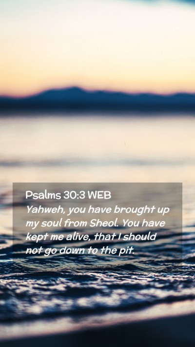 Picture 02 - Psalms 30:3 WEB Mobile Phone Wallpaper - Yahweh, you have brought up my soul from Sheol. - Mobile Bible Verse Wallpaper