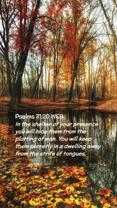 Picture 02 - Psalms 31:20 WEB Mobile Phone Wallpaper - In the shelter of your presence you will hide - Mobile Bible Verse Wallpaper