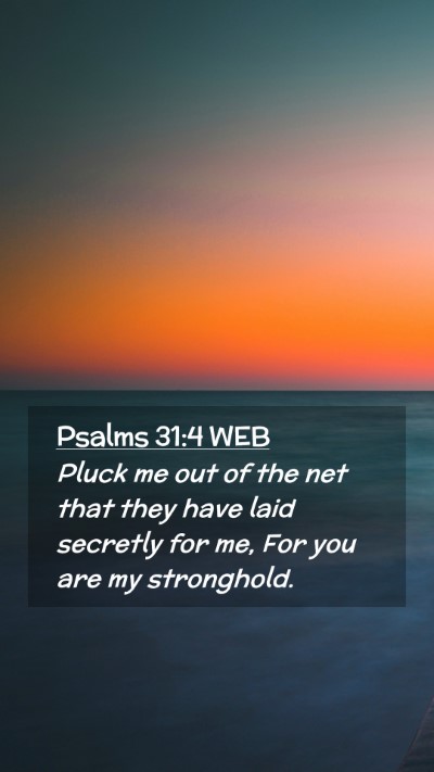 Picture 02 - Psalms 31:4 WEB Mobile Phone Wallpaper - Pluck me out of the net that they have laid - Mobile Bible Verse Wallpaper