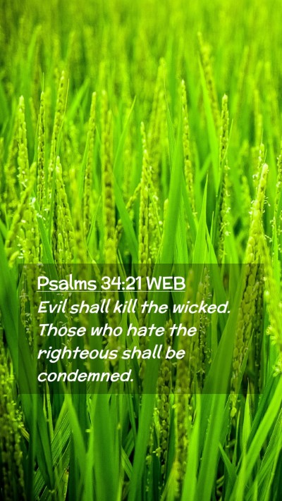 Picture 02 - Psalms 34:21 WEB Mobile Phone Wallpaper - Evil shall kill the wicked. Those who hate the - Mobile Bible Verse Wallpaper