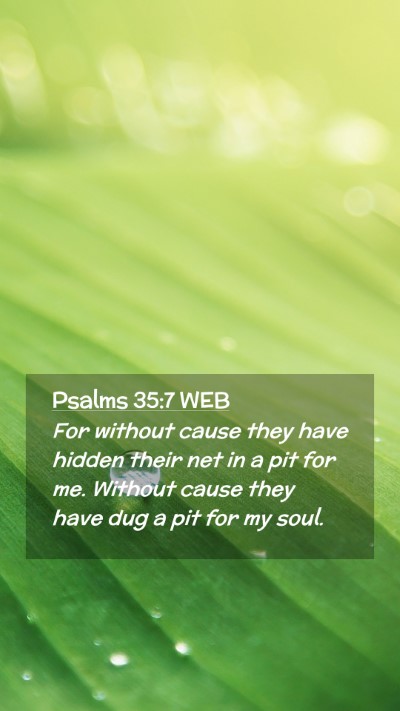 Picture 02 - Psalms 35:7 WEB Mobile Phone Wallpaper - For without cause they have hidden their net in a - Mobile Bible Verse Wallpaper