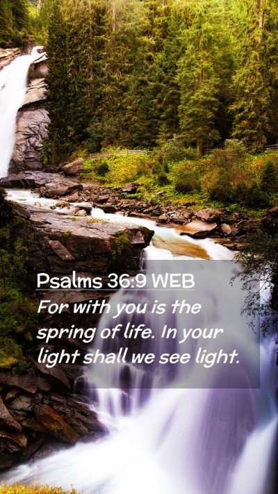 Picture 02 - Psalms 36:9 WEB Mobile Phone Wallpaper - For with you is the spring of life. In your light - Mobile Bible Verse Wallpaper