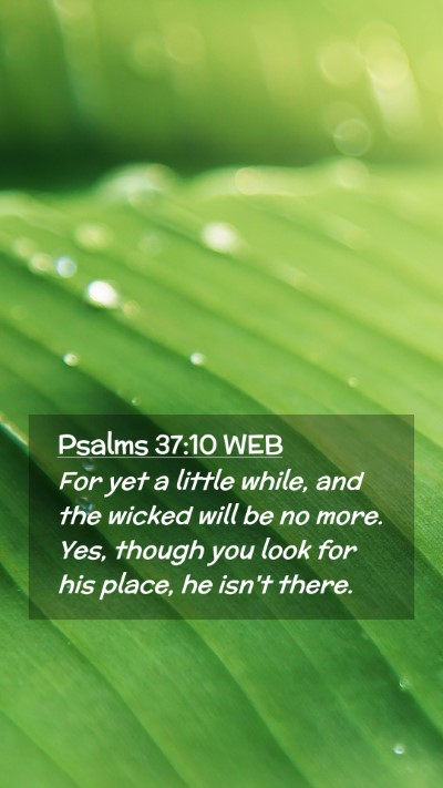 Picture 02 - Psalms 37:10 WEB Mobile Phone Wallpaper - For yet a little while, and the wicked will be no - Mobile Bible Verse Wallpaper