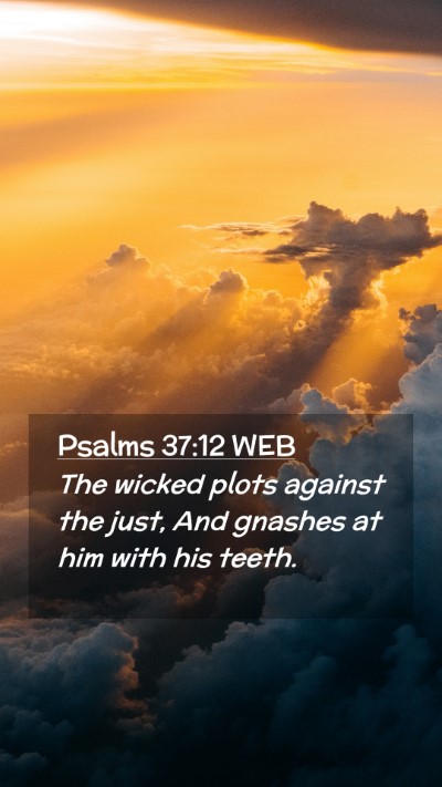 Picture 02 - Psalms 37:12 WEB Mobile Phone Wallpaper - The wicked plots against the just, And gnashes at - Mobile Bible Verse Wallpaper