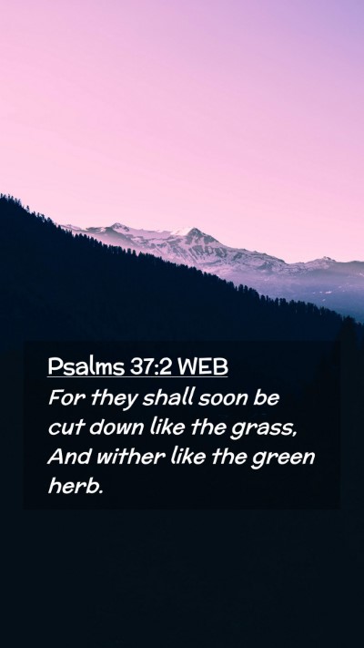 Picture 02 - Psalms 37:2 WEB Mobile Phone Wallpaper - For they shall soon be cut down like the grass, - Mobile Bible Verse Wallpaper