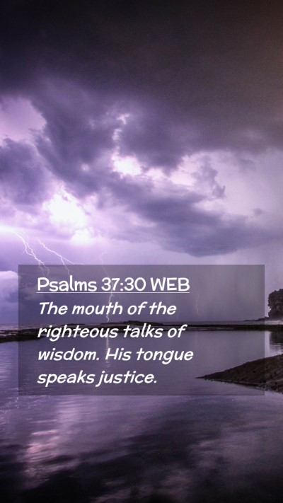 Picture 02 - Psalms 37:30 WEB Mobile Phone Wallpaper - The mouth of the righteous talks of wisdom. His - Mobile Bible Verse Wallpaper